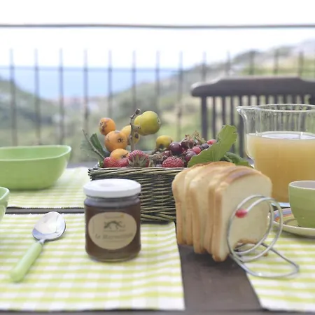 Alla Collina Sul Mare *