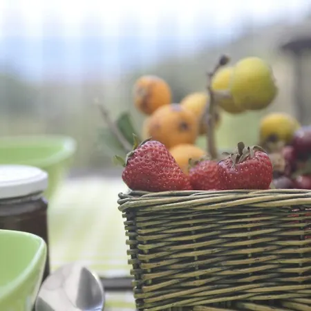 Alla Collina Sul Mare Çiftlik konaklama